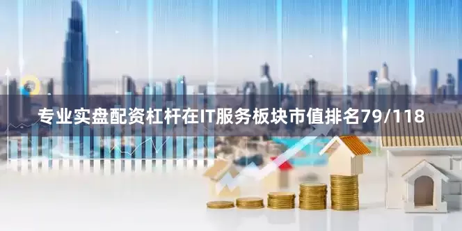 专业实盘配资杠杆在IT服务板块市值排名79/118