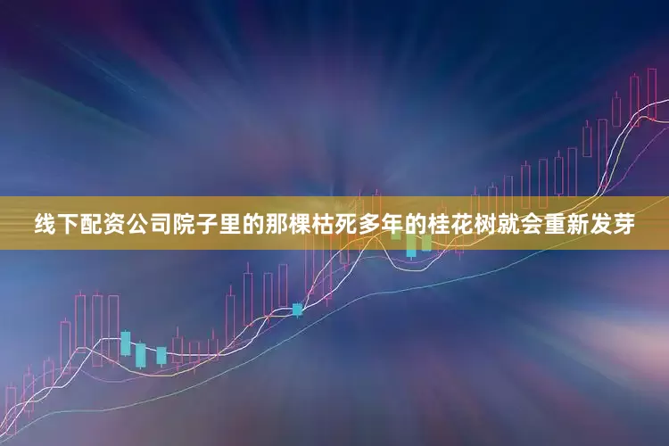 线下配资公司院子里的那棵枯死多年的桂花树就会重新发芽